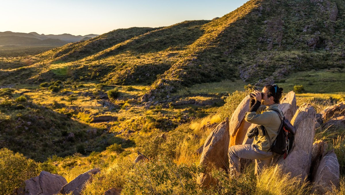 Tswalu's tweet photo. Wits PhD candidate Paulo Ribeiroโs #research project focuses on the distribution of mountain #zebras, a vulnerable herbivore, on the reserve. Read more about his findings: https://t.co/RiHsMKdo1E
#Tswalufoundation #Kalahari #Biodiversity #africanwildlife #zebraconservation https://t.co/2ivC2CKJCN