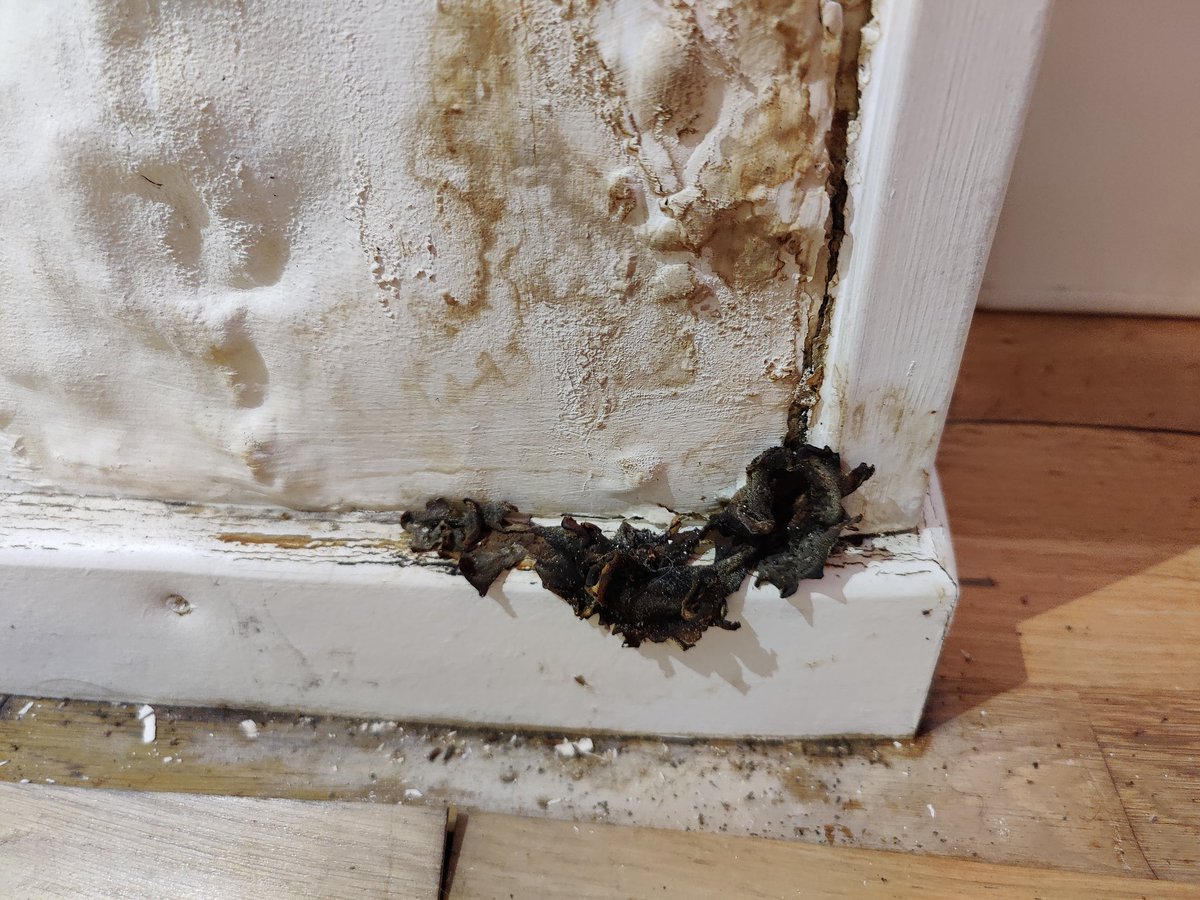 Pete Elliott (@pete556) on Twitter photo The Parliamentary Select Committee for Levelling Up had just visited Regina road flats in Croydon and the Central Hill Estate in Lambeth to look at the appalling disrepair residents are dealing with.
@KwajoHousing
<a href="/InsideCroydon/">Inside Croydon</a> <a href="/PrivateEyeNews/">Private Eye Magazine</a> <a href="/brixtonbuzz/">Brixton Buzz</a> <a href="/greenparty_gh/">Gipsy Hill Greens</a> The Parliamentary Select Committee for Levelling Up had just visited Regina road flats in Croydon and the Central Hill Estate in Lambeth to look at the appalling disrepair residents are dealing with.
@KwajoHousing
<a href="/InsideCroydon/">Inside Croydon</a> <a href="/PrivateEyeNews/">Private Eye Magazine</a> <a href="/brixtonbuzz/">Brixton Buzz</a> <a href="/greenparty_gh/">Gipsy Hill Greens</a>