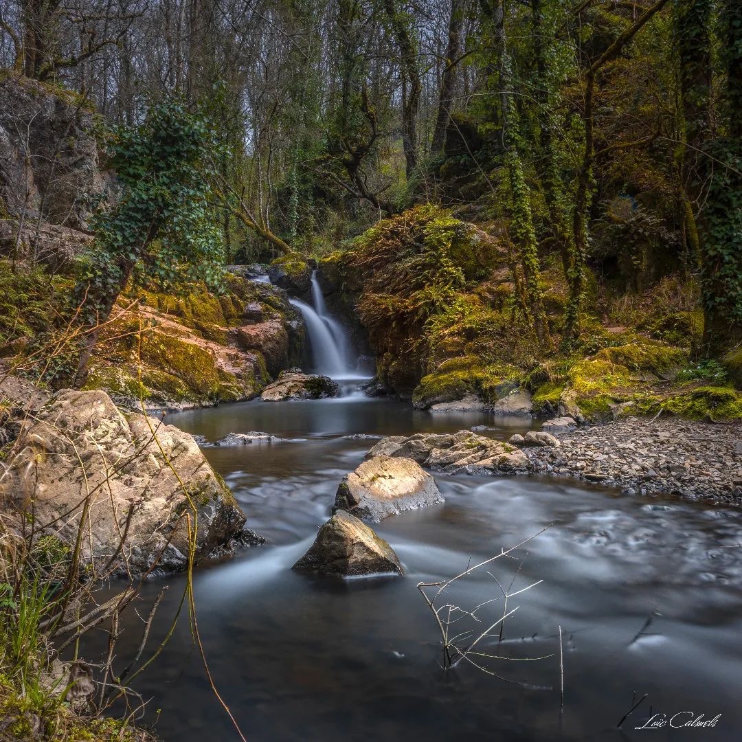 CokinUsa's tweet photo. Community Feature @loiccalmels.photographe! Sweet little waterfall. #teamcokin #cokincreative https://t.co/VMg7v8ZlOd