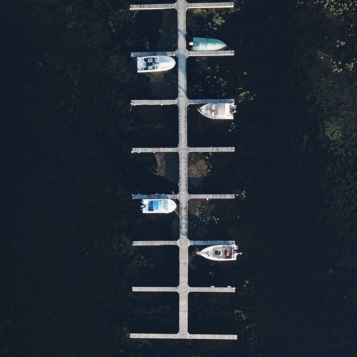 Wavve Boating tweet media