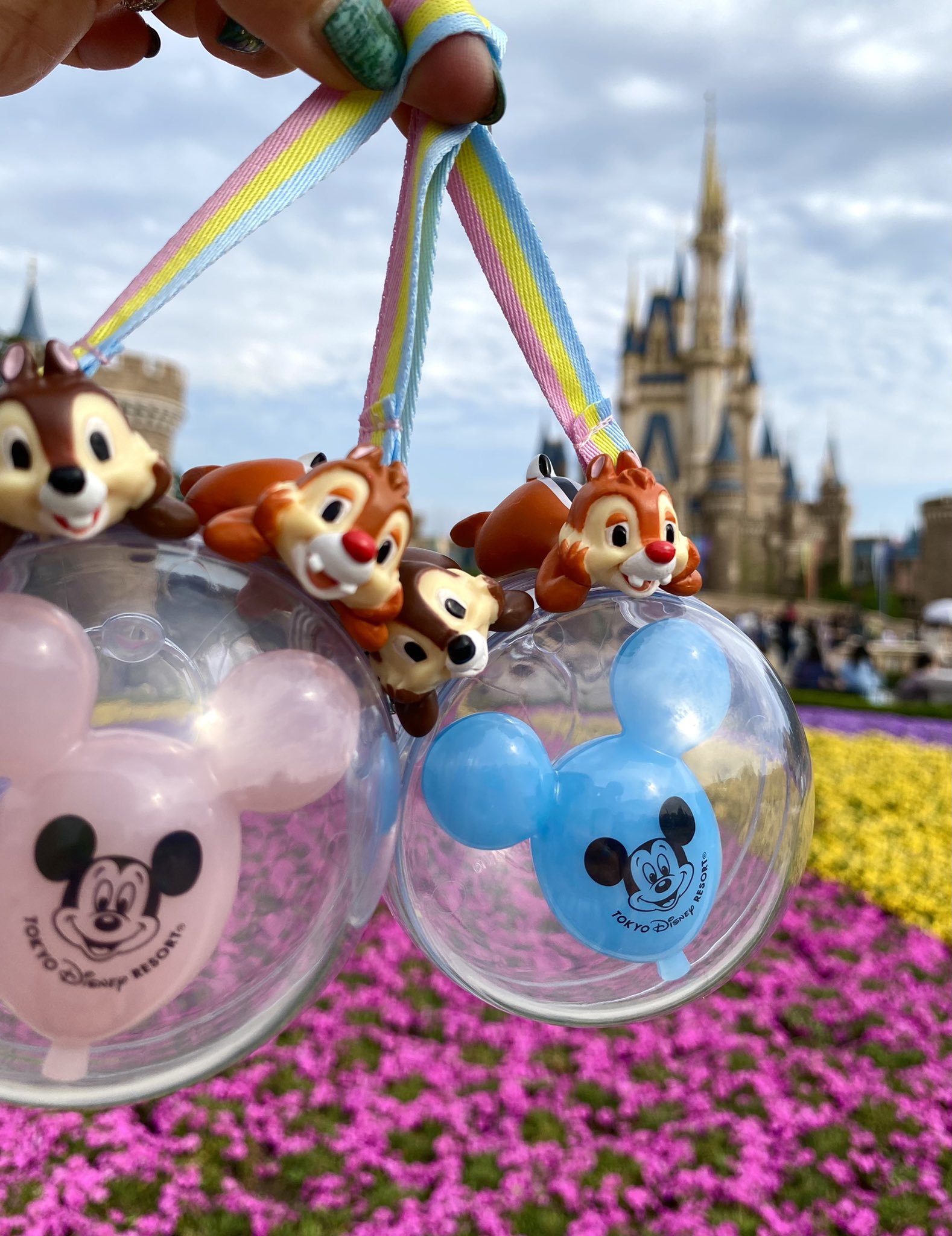 Yuka Auf Twitter 39周年グッズのレジャーシート 厚手でめちゃよかった 専用バック付きでおすすめー 花壇が美しい 癒された 喧騒の毎日からリフレッシュできた1日 ディズニーランド39周年 花 T Co 1v9c0w42ap Twitter