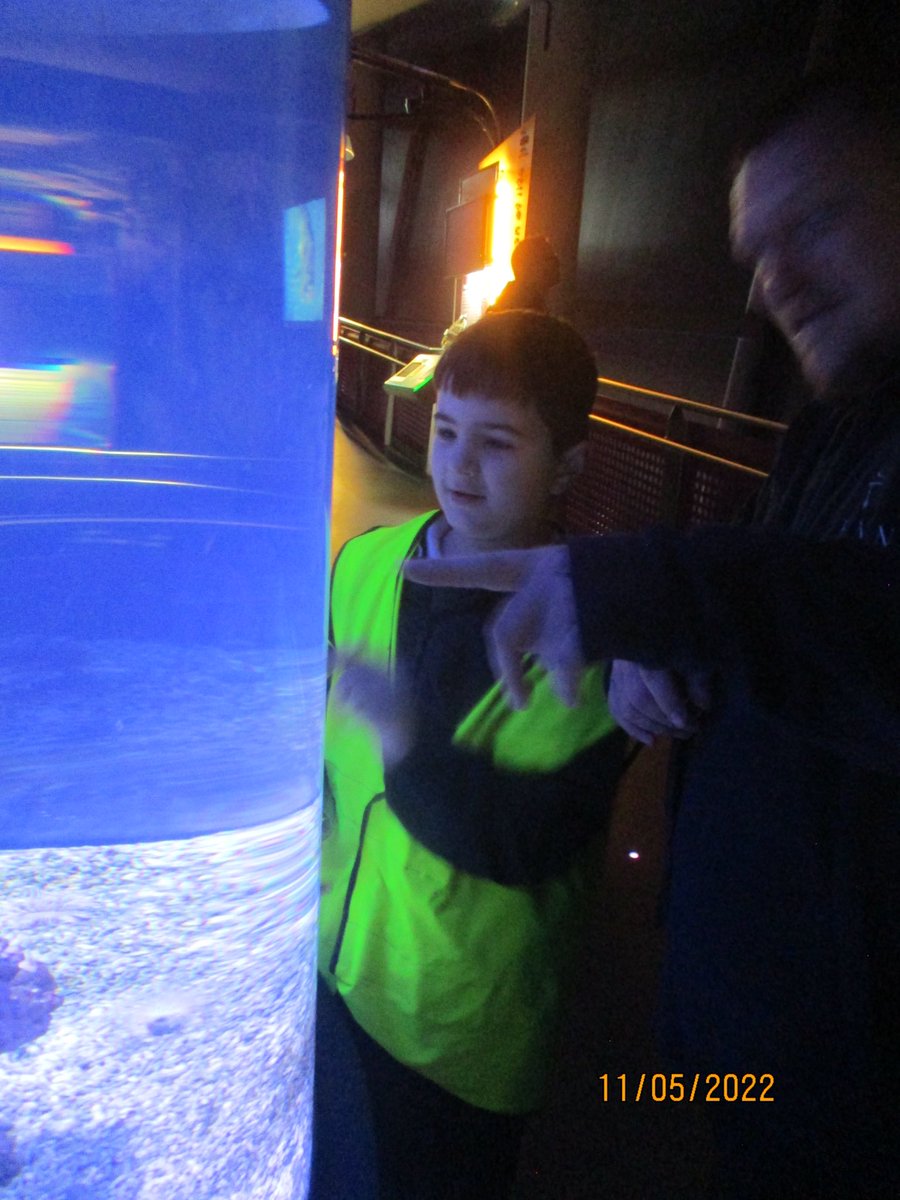 Bridgeview_Hull's tweet photo. #ClassInfinity We were amazing geographers today! We looked at how to create a sustainable planet by taking care of our oceans! We then had a fabulous tour of The Deepπ§ββοΈπ³π¬π ππ‘ https://t.co/0mrC66PeIU
