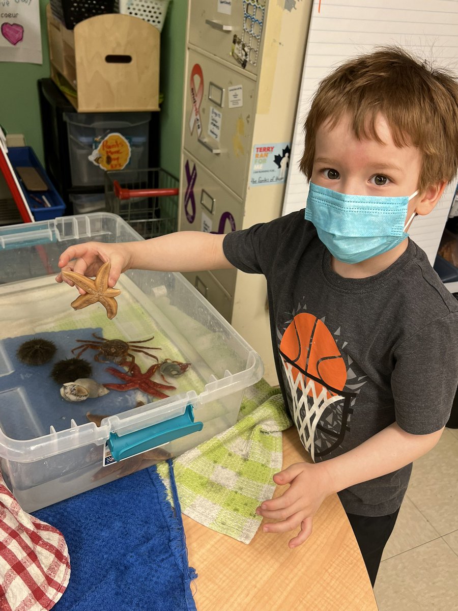 Touch tank!!! <a href="/BishopFeild/">Bishop Feild Elementary</a> <a href="/NLESDCA/">NLESD</a> <a href="/PettyHrMiniAqua/">Petty Hr Mini Aqua</a>