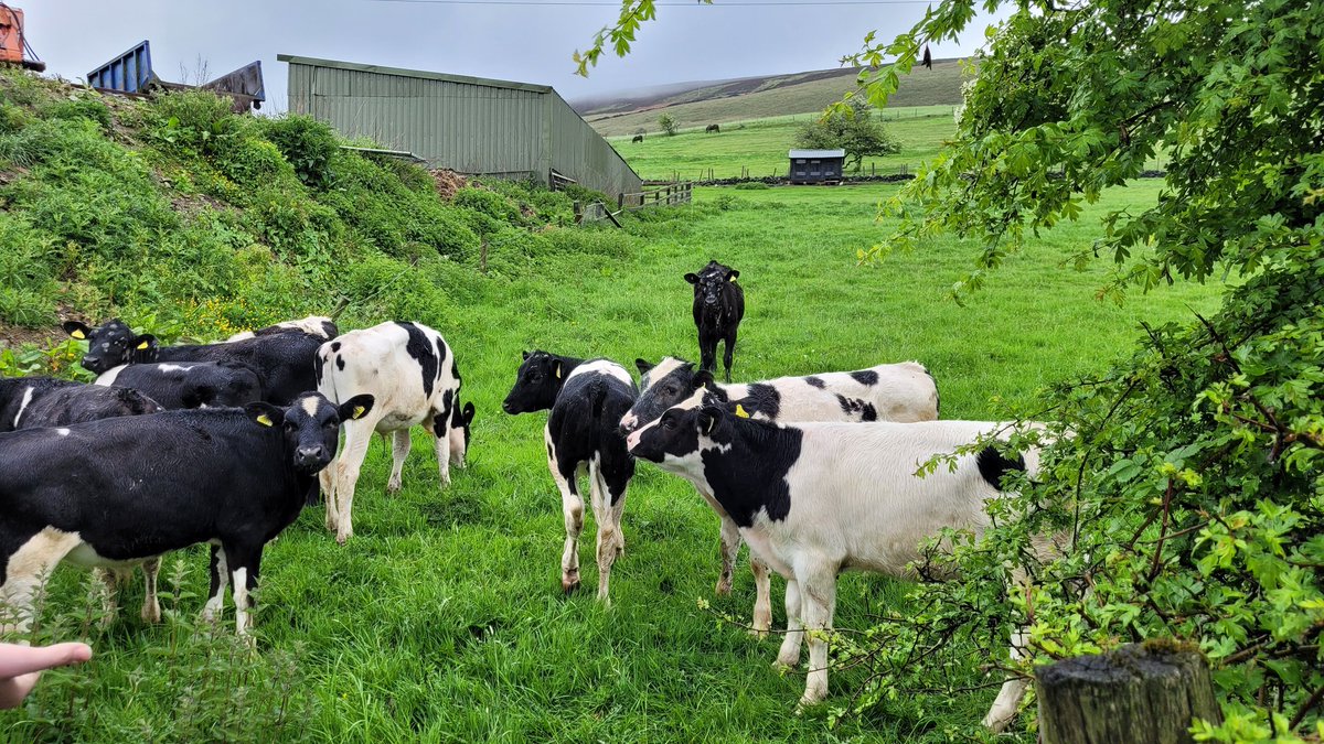 Summit Outdoor Motivation tweet media