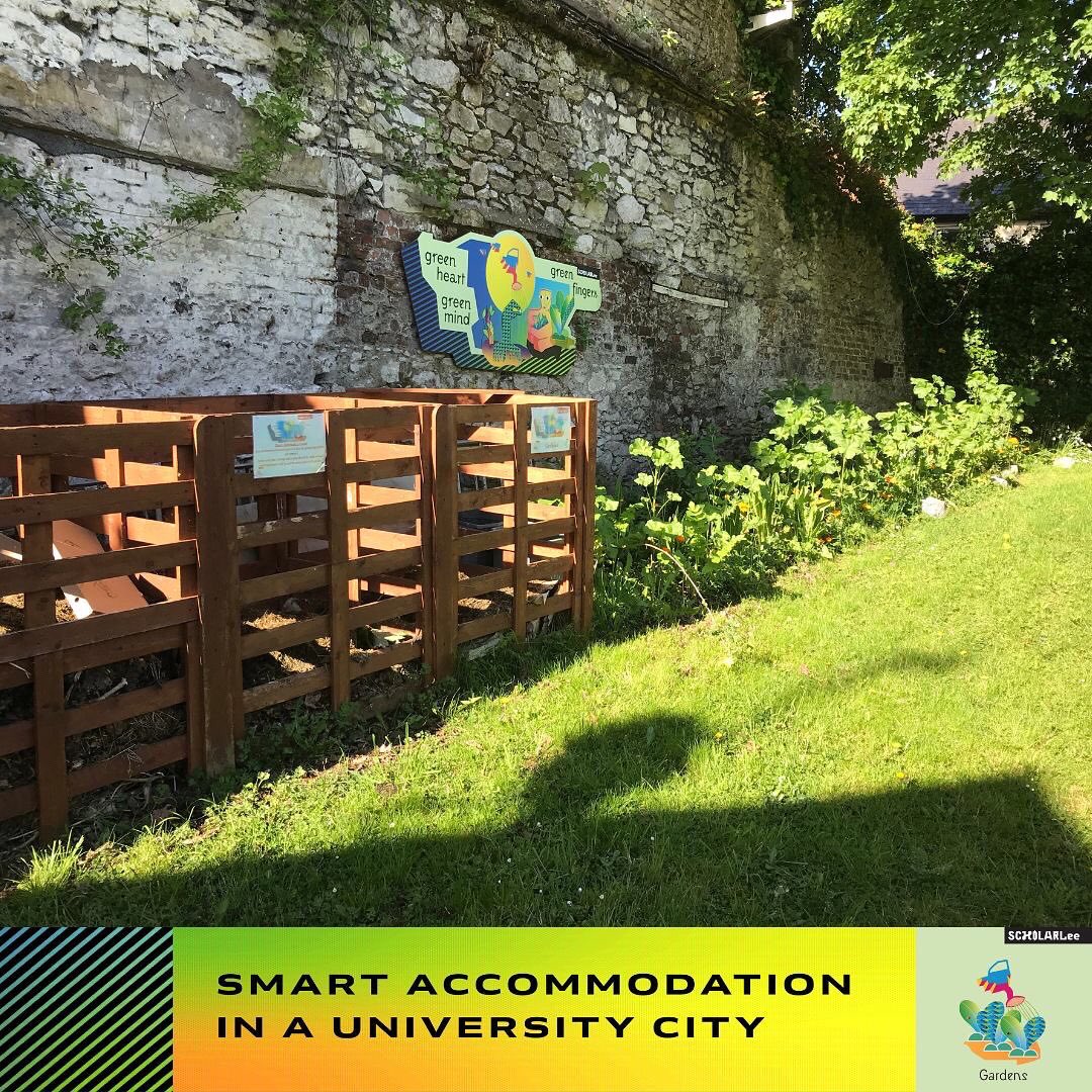 Some beautiful mornings in Cork this week and our Bishop Street garden is really kicking into life! 
#scholwrarlee #scholarleecommunitygreen #scholarleestudent #cork #gardens