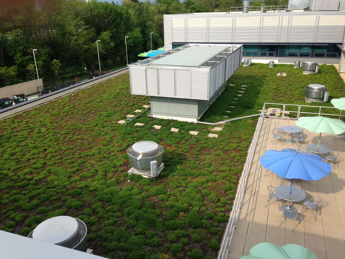MoCoOES's tweet photo. Green roofs use plants and soil to absorb and filter rainwater, insulate buildings, and provide habitat for birds. @MontgomeryCoMD has green roofs on several facilities! Learn more ➡️ https://t.co/deW4i9m3Bv. https://t.co/6POYTA6MYo