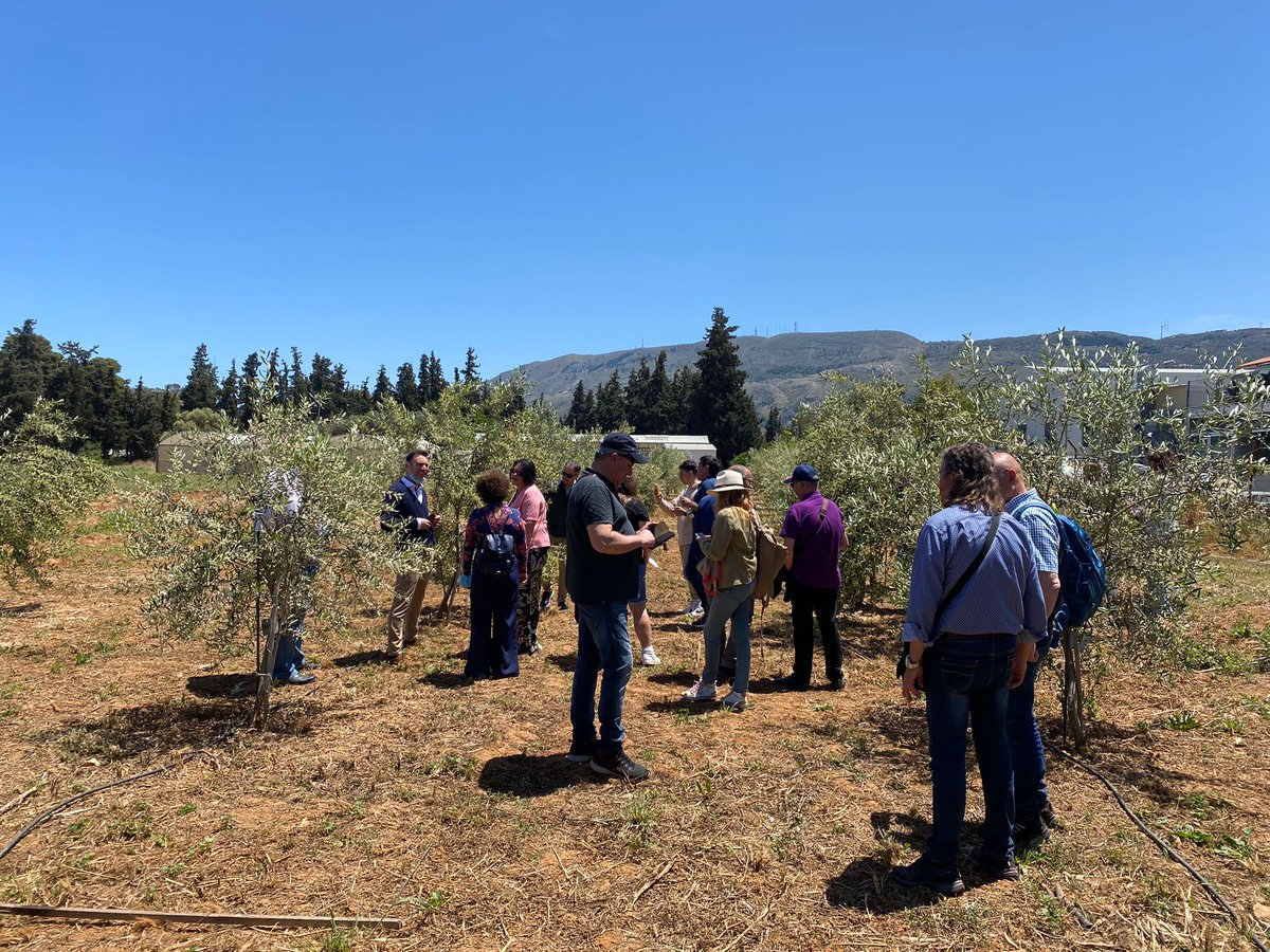 agriculturacat's tweet photo. 🌳 Una delegació catalana visita  a Creta projectes empresarials innovadors del sector de l'oli: transformació de l’oli; oleoturisme, i el laboratori d’avaluació sensorial.

🍴 Aquesta actuació s’inscriu en el marc del Programa europeu @PTransgrowth.

👉 https://t.co/tXLMBE1e5B https://t.co/ElrfocjVgw