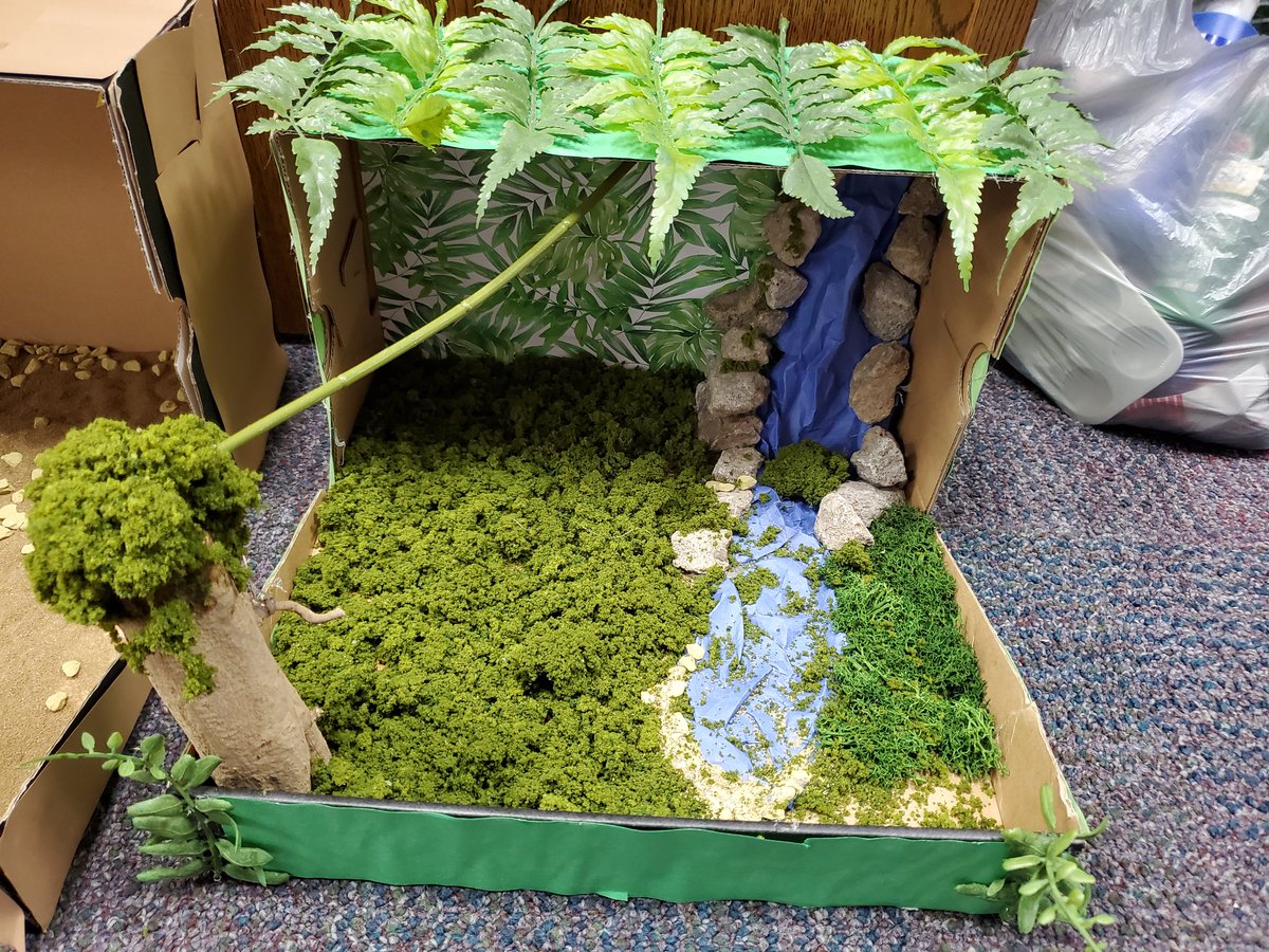 iwmsmac's tweet photo. Ms. Zelhart's Life Science students are working hard to complete their Biome projects! @IW_Supe @IWMSRaiders https://t.co/5f8MwPy6Ke