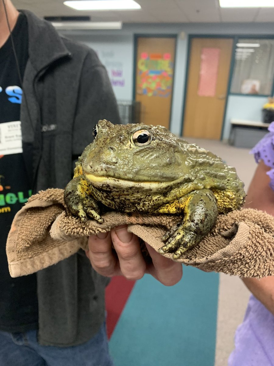 Craig Munro tweet media