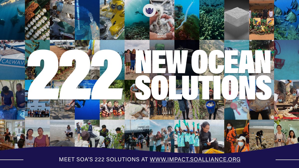 dvfernandez1's tweet photo. IT'S HERE! For the first time in our history, @SOAlliance is unveiling its inaugural #OceanSolutions Report! Read more to learn how these 222 solutions are protecting our planet 🌎 → https://t.co/AwwsKJN9Z0
#SOAimpact #JoinTheAlliance https://t.co/HWv7PdRtgF