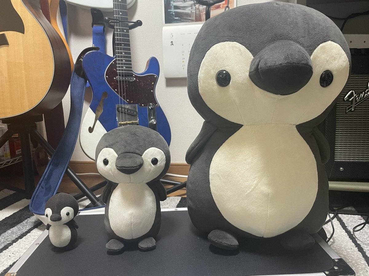 watanabeboukan's tweet photo. 届きました https://t.co/MQNjq3MTq5