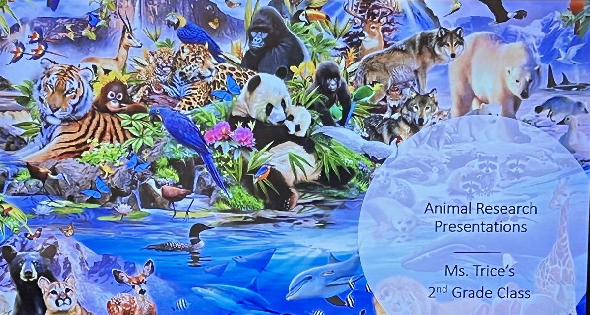 TriceClass's tweet image. Today my scholars presented their animal research to @msezellsclass  first graders. They gathered information, created slides, and made a 5 question quiz to go along with their presentation. It was a great experience that all scholars were able to complete.  💻 👩🏽‍🏫 🍎 @RFe_RCS
