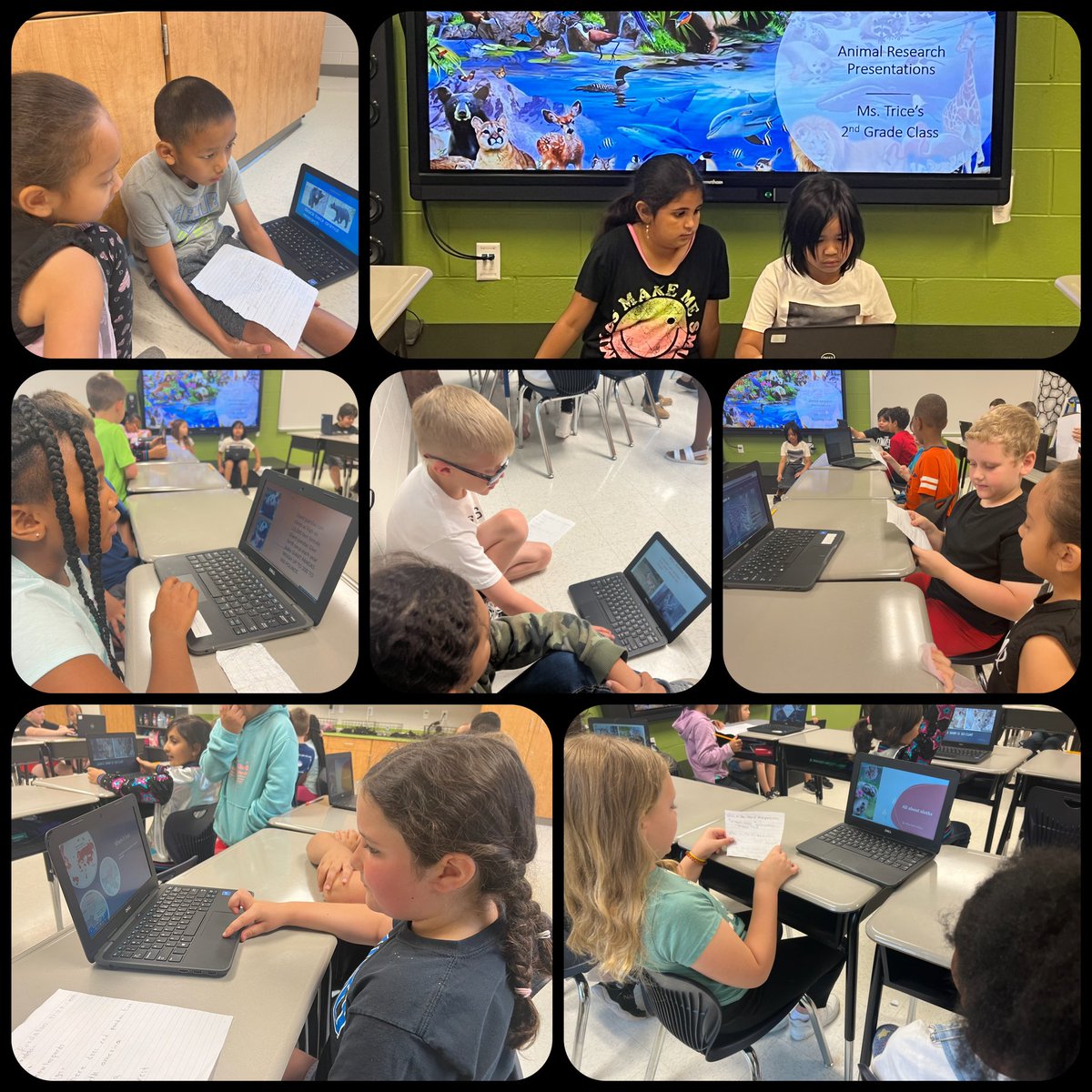 TriceClass's tweet image. Today my scholars presented their animal research to @msezellsclass  first graders. They gathered information, created slides, and made a 5 question quiz to go along with their presentation. It was a great experience that all scholars were able to complete.  💻 👩🏽‍🏫 🍎 @RFe_RCS