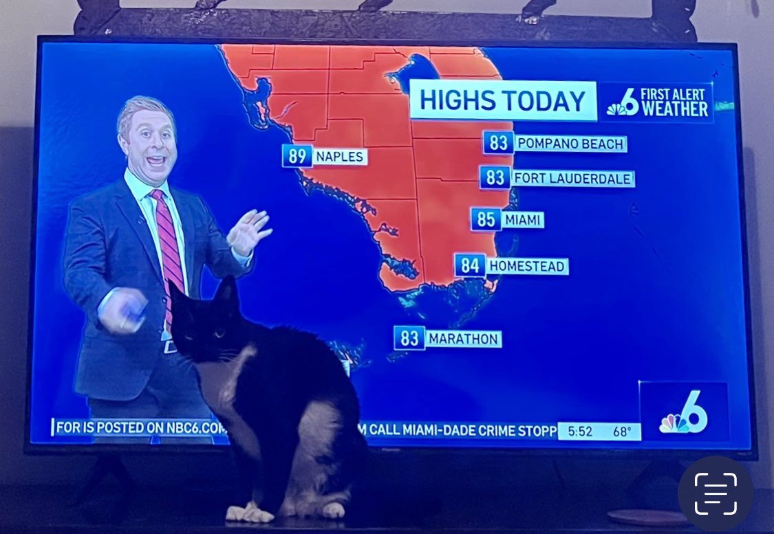 RichardCameron's tweet photo. @AdamBergNBC6 when Sparkle sits in-front of your Weather Forecast we know #ItsTimeToWalkFluffy (FEED HER)… She isn’t amused, with us not getting up! 😂❤️ https://t.co/Rvd2Ue7kmA