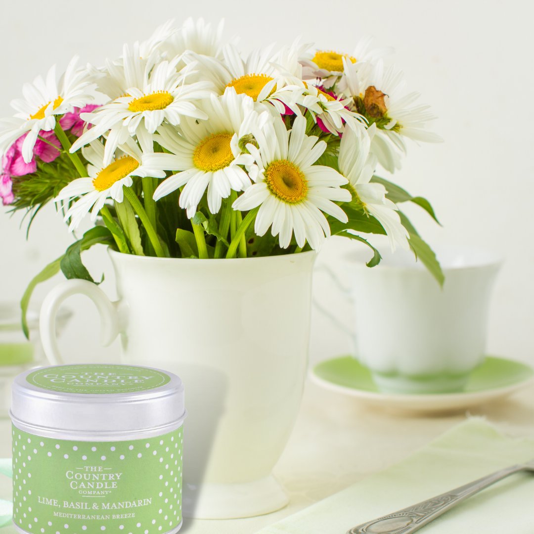 Country Candle Co. tweet media