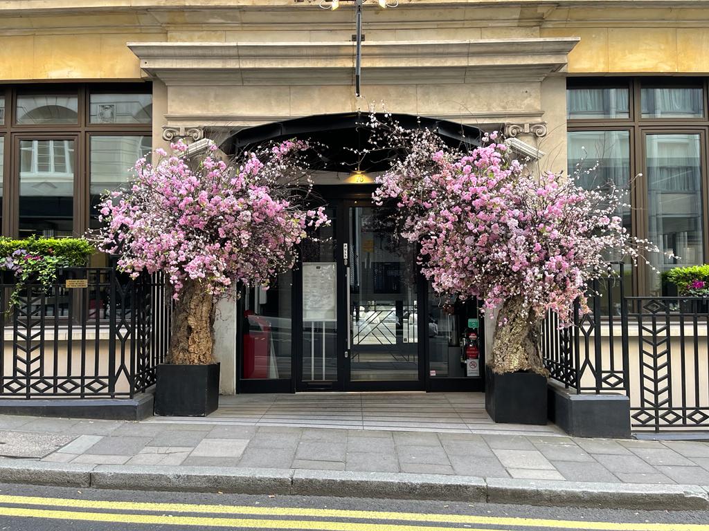 TempletonsLtd's tweet photo. 📍Our Work: Ginza St. James’s

We regularly undertake a builders clean here to make sure Ginza's always looks as good as the food and drink they serve! 🍹

Book a clean with us today and see why we are the professionals in #cleaning! Call us on 020 8645 6450 📲 https://t.co/pnsbchunI5