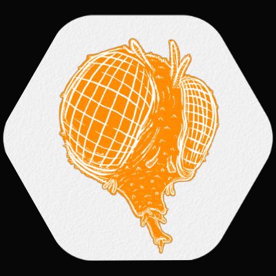 kenakongsi's tweet image. #NewProfilePic by @FlySquadNFT #FlyListed #FSPII