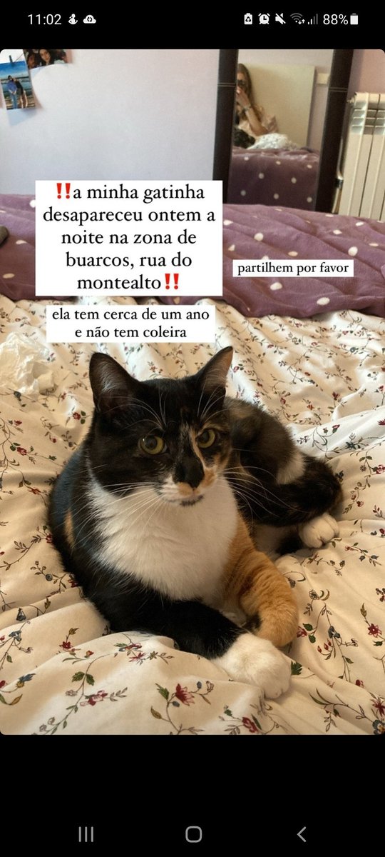 Figueira toda numa missão!!!! <a href="/miraballas/">Miraballas</a> @miravall16