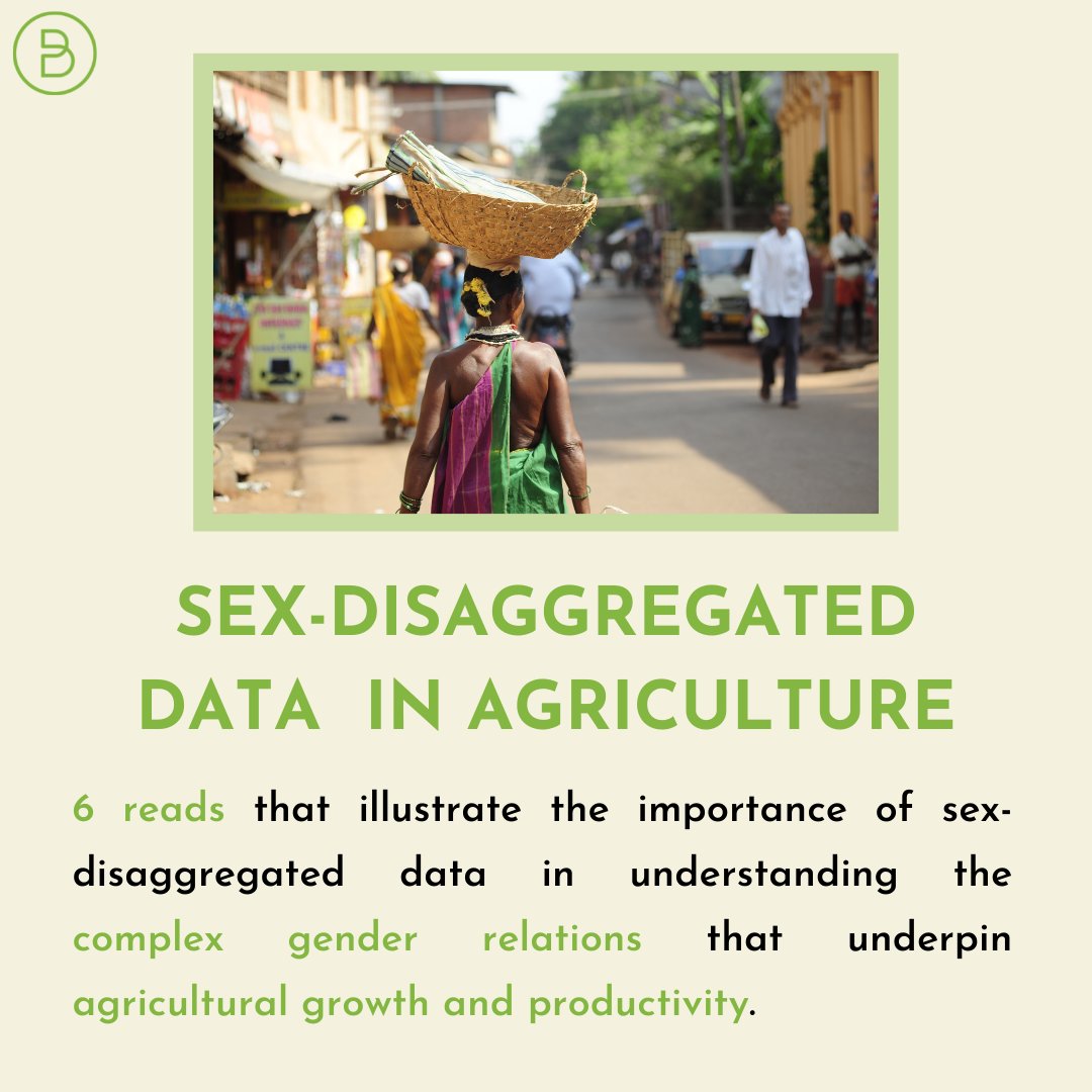 HouseOfBelongg's tweet photo. Sex-disaggregated data is crucial not only to empower women in agriculture but also to transition to more equitable and productive food systems on the whole.
Click here to know more https://t.co/HXQSOc0PbH
#womenfarmers #agriculture #inclusivefoodsystems #data #policy #gender https://t.co/sMeyh5D6yR