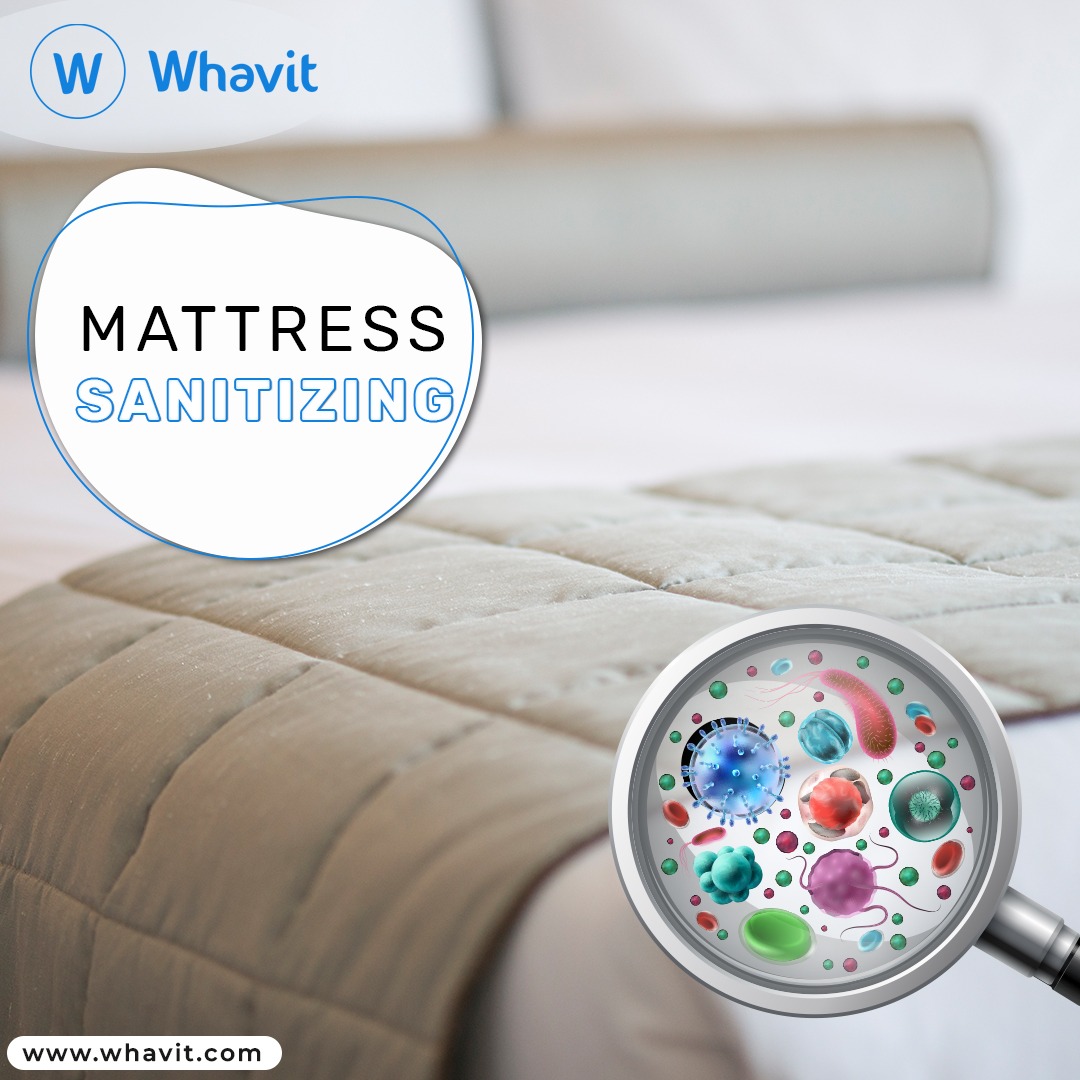 WhavitApp's tweet photo. Care to disinfect your mattress so Bed bugs won't bite again? Click the link in the bio to book or call +2347060811576 for more booking info. https://t.co/2ftYn68Eve