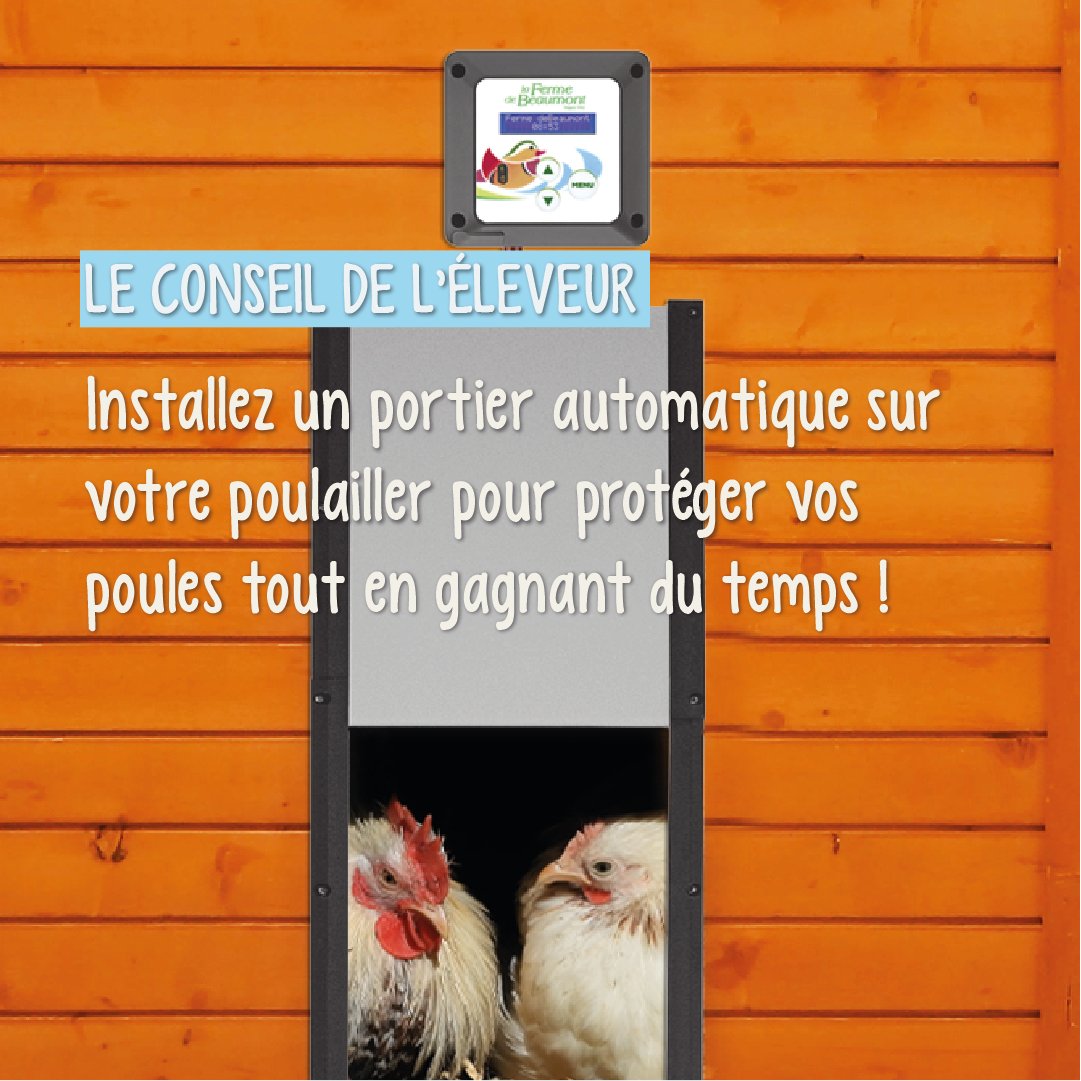 FermedeBeaumont's tweet photo. [Le conseil de l'éleveur]
🐔 Équipez votre #poulailler d’un #portierautomatique pour êtes tranquille le matin et le soir et surtout, vos poules sont protégées des prédateurs. Le portier automatique vous rend la #vie plus facile ! https://t.co/JgYlKkjIbT