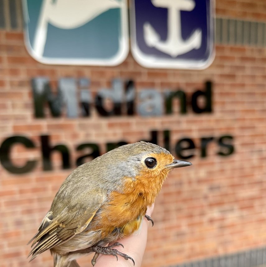 This customer has been busy getting a bird's eye view of all our products...

#wildlife