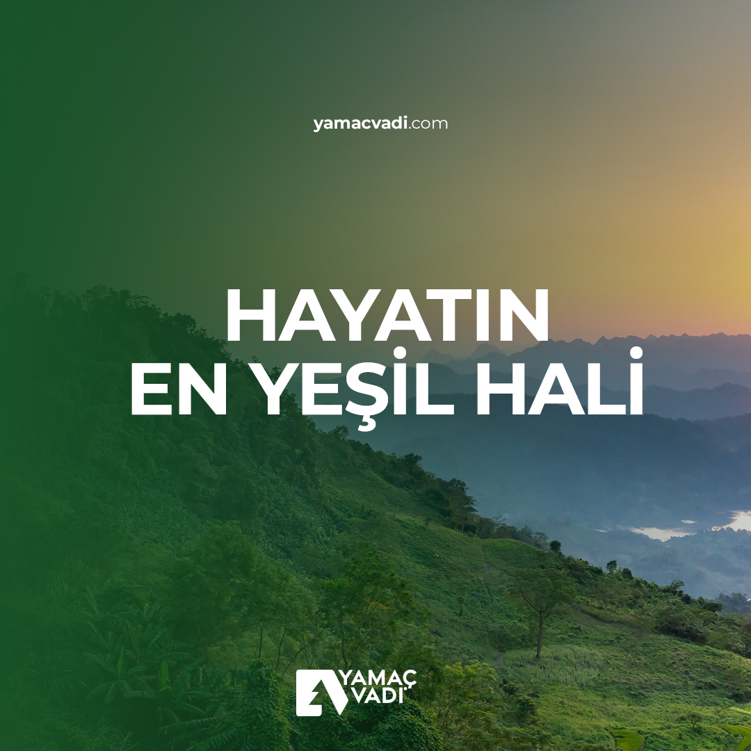 YamacVadi's tweet photo. Doğada yaşam, binbir mucizeye şahit olmaktır. Doğanın mucizelerine Yamaç Vadi’de tanıklık edin!

https://t.co/jguCbvHrAi

#yamaçvadi #yamaç #huzurgüvenvesiz #seninhayatın #konyabahçe #konyahobibahçe #konyaprefabrik #komşu #komşuluk #bahçe #geçmişeözlem https://t.co/OqHhw35dLw