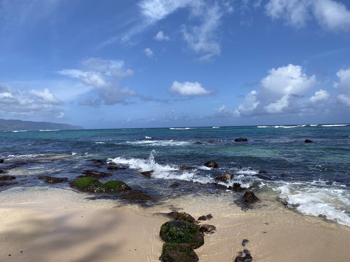 glbird1's tweet photo. Hawaii https://t.co/IacaCsGTH7