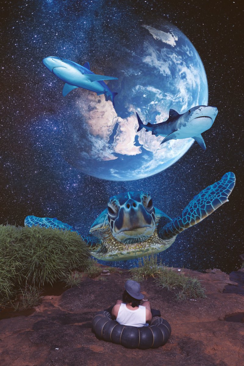 nitintheway's tweet photo. The interstellar fish tank inside my mind.
#lonermagazine #digitalartist #artist #photoshopartist #digitalphotoshopart https://t.co/T68OFhXPr6