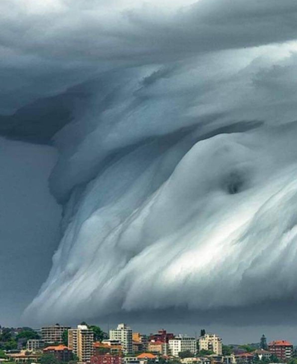 RT @Daniella_C1804: Tsunami Cloud, Sydney Australia .
#NaturePhotography https://t.co/vwpDCJS6uy