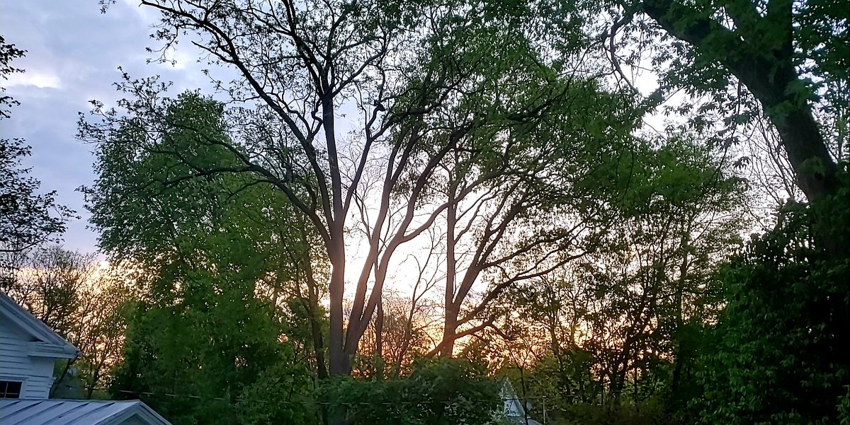 modernancientAB's tweet photo. Good morning #deckview. #OhioLife #YellowSprings π±π€ https://t.co/NLxs5aT2ni