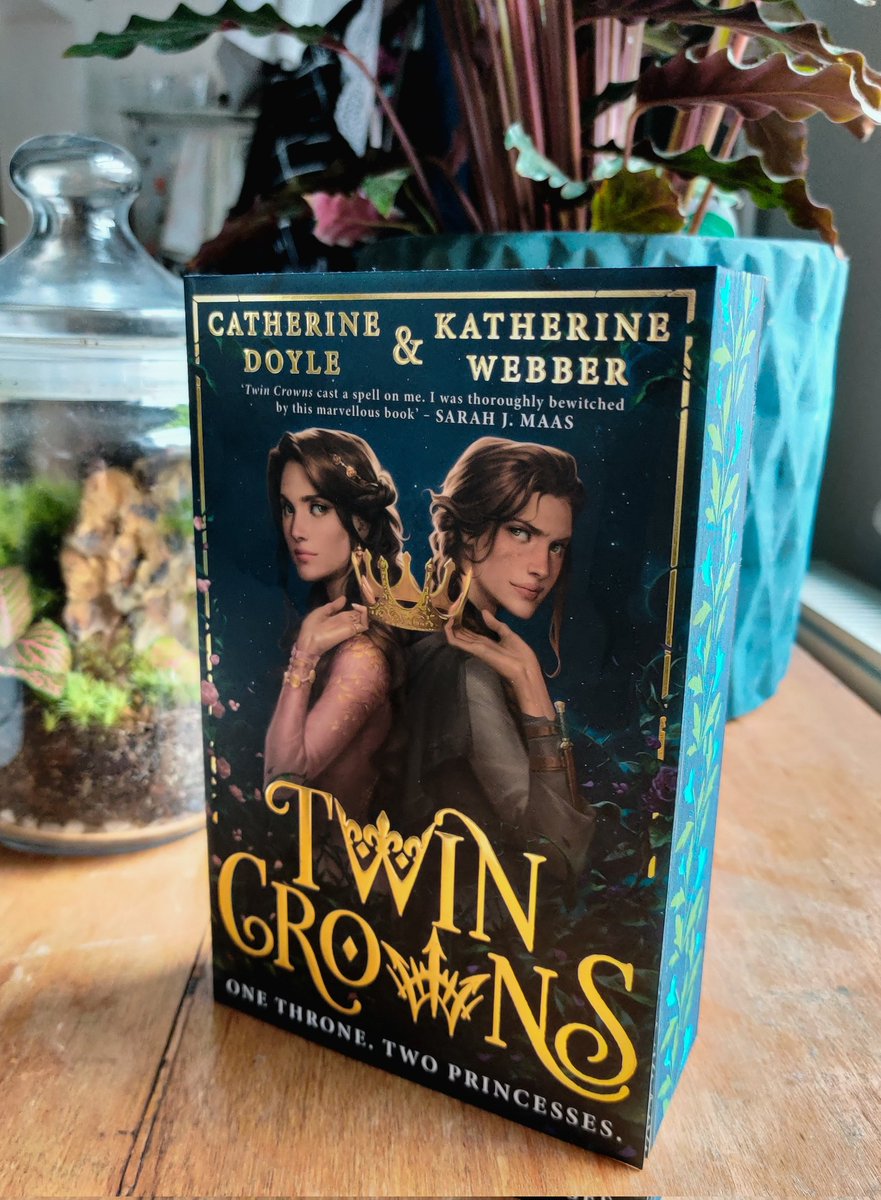 How beautiful is this?? Can't wait to dive into this book #TwinCrowns @doyle_cat @kwebberwrites