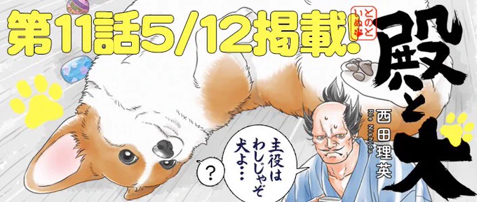 明日のお昼は、『#殿と犬』❣️   /  殿と犬、街へ行く! 読んでね〜〜🍵🐶🍵🐶  \