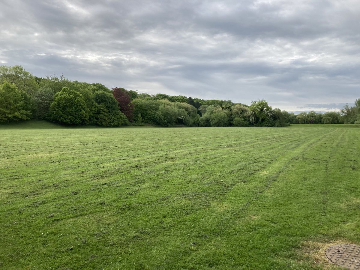 fieldfriends's tweet photo. ⁦@BirminghamParks⁩ Monday this field &amp; slope had loads of daisies &amp; dandelions, early pollinators.  Now all cut. Not a #NoMowMay policy in Brum?  Why not?  These aren’t sports pitches. BTW crocuses we planted last autumn were also cut when still flowering few weeks ago. https://t.co/JcCSi23yUw