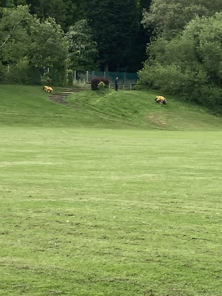 fieldfriends's tweet photo. ⁦@BirminghamParks⁩ Monday this field &amp; slope had loads of daisies &amp; dandelions, early pollinators.  Now all cut. Not a #NoMowMay policy in Brum?  Why not?  These aren’t sports pitches. BTW crocuses we planted last autumn were also cut when still flowering few weeks ago. https://t.co/JcCSi23yUw