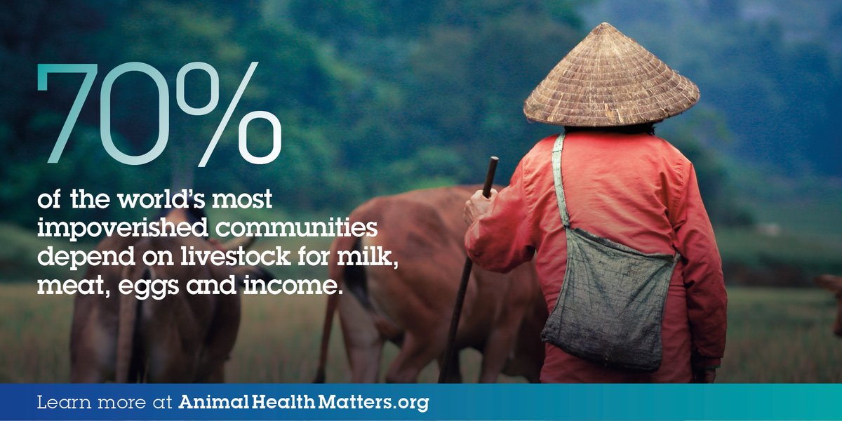 HealthforAnimals tweet media