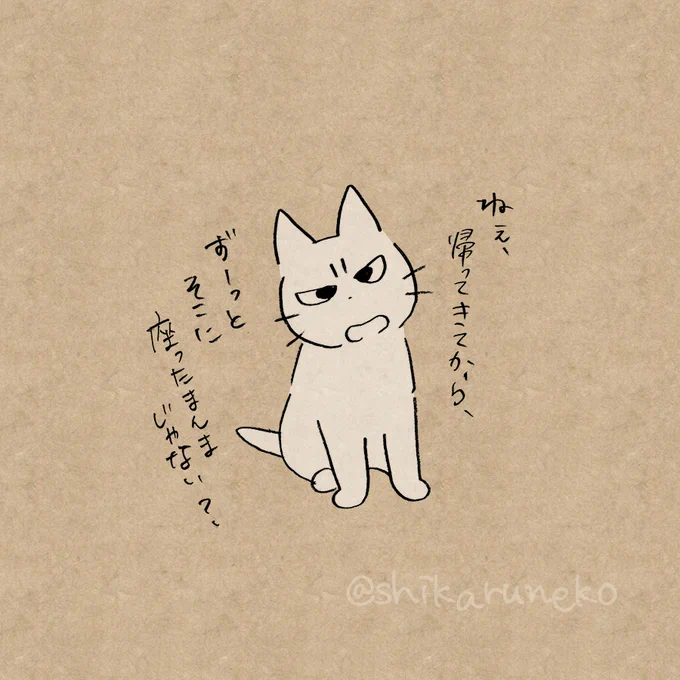 帰宅して一度座るとなかなか動けない人を叱ってくれる猫 