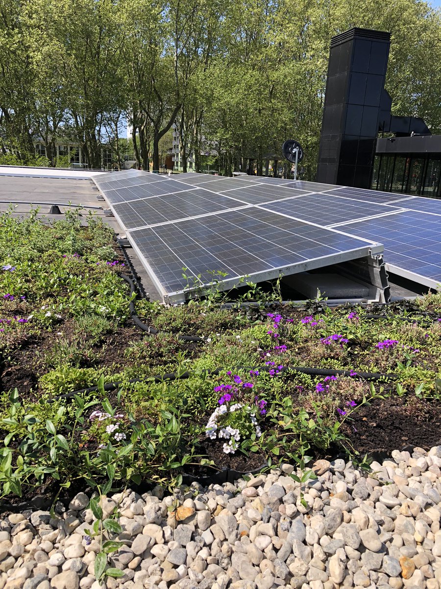 Taco Kuiper tweet media