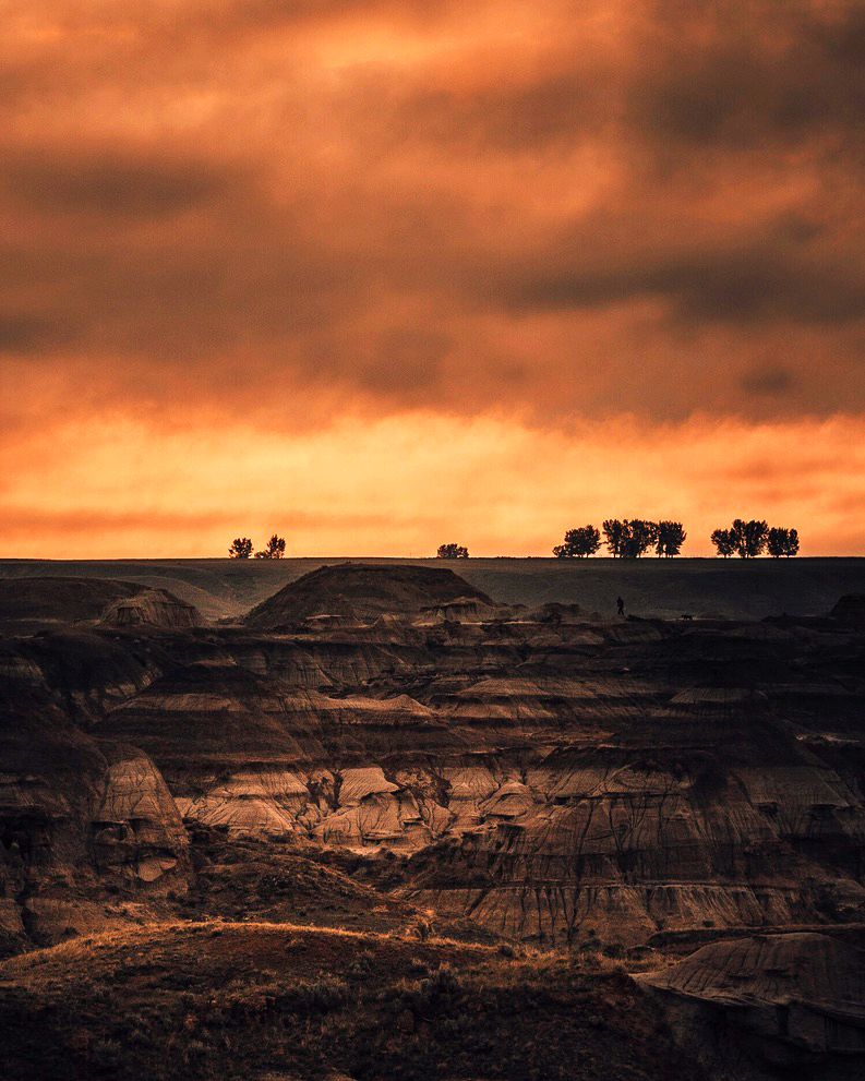 Gm frens! Forever chasing the light...

#NFTphotographers #NFTCommuntiy #NFTartists 
#photographers