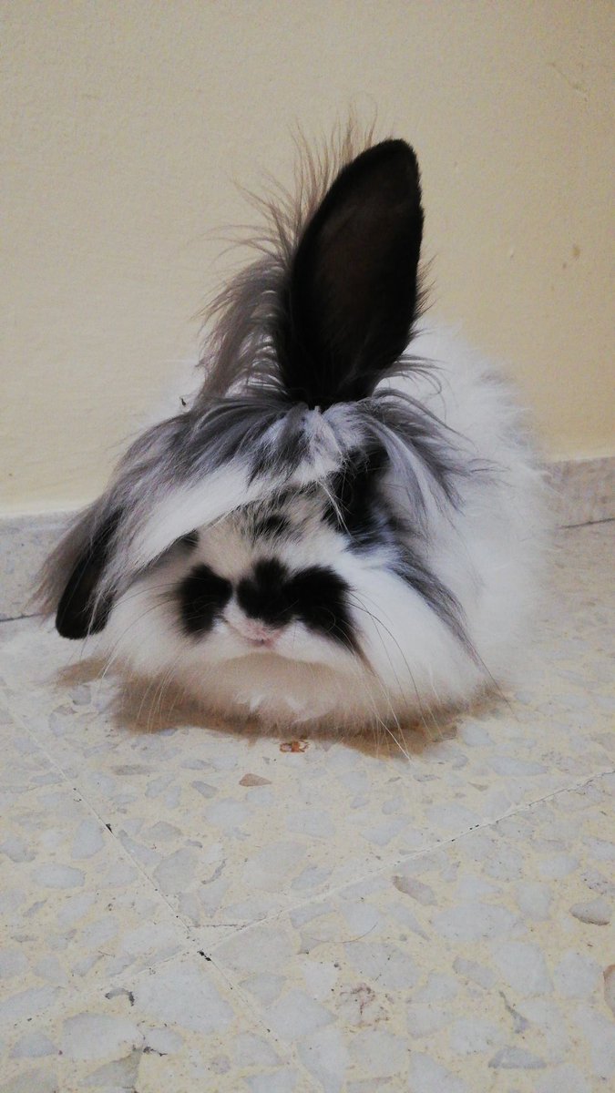 Cactus🌵 tweet media