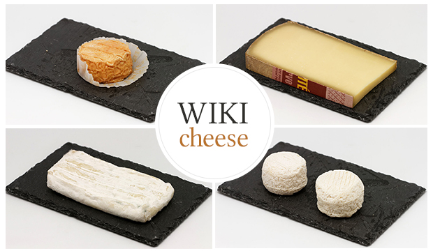 Wikimedia_Fr's tweet photo. #Wikicheese : @Wikimedia_Fr est arrivée à #Bruxelles pour son événement du jour qui rassemble wikimedien·ne·s, décideurs politiques, journalistes et associations autour des fromages et de @Wikipedia_fr 🧀
Infos et inscription de dernière minute sur https://t.co/whBVI8zawP https://t.co/8u8LtrL8eK