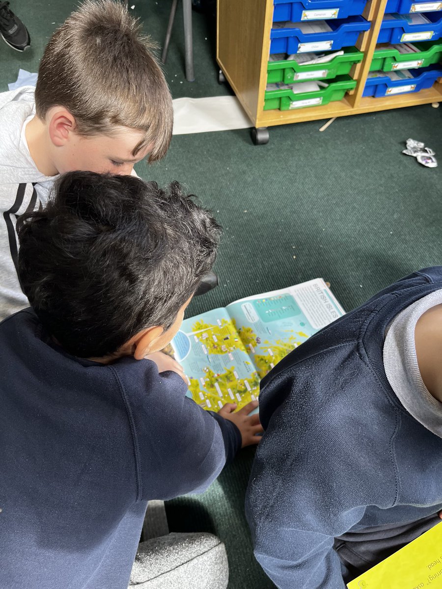 Miss Harvey - Primary 3 tweet media