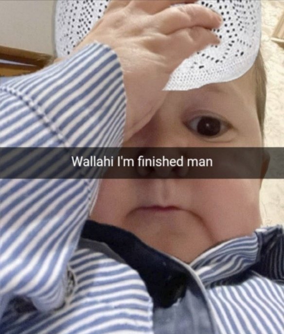 bluetiger tweet media