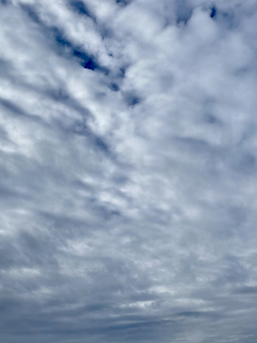 Jennifer Murphy tweet media