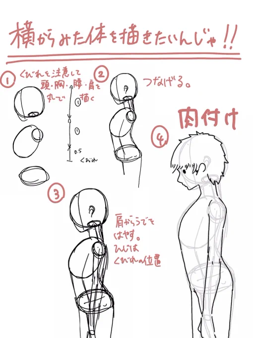 横から見た体を一緒に描いちゃおう!
やってみたらこのリプ欄に感想を送ってね! 