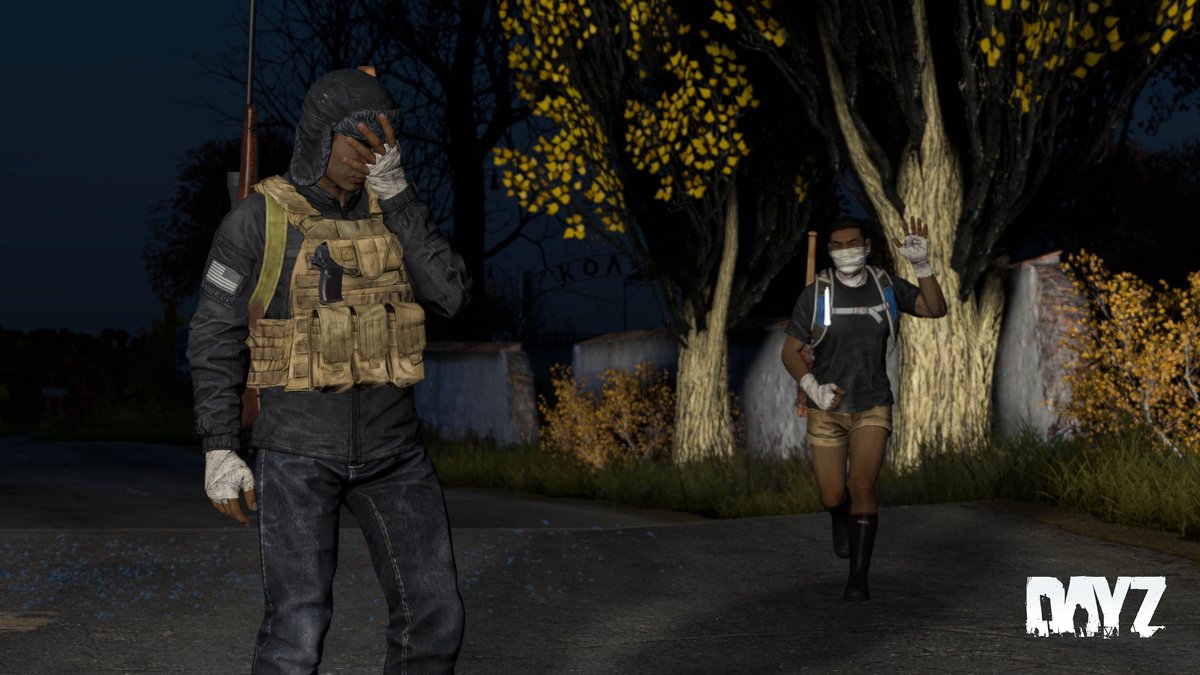 DayZ 🖥 🎮 ❤️ tweet media