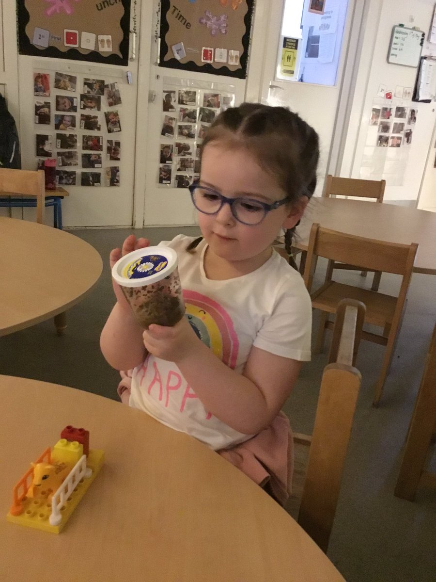 SerfsSt's tweet photo. Learners were excited to receive some new friends in the post this morning. They counted 5 caterpillars. We look forward to our learning group tomorrow where we will investigate these further. “There will be five butterflies!” #livingthings #learninggroup https://t.co/53AuZVl2Ol