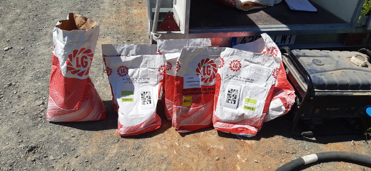 josanjusm's tweet photo. Hoy sembramos nuestro ensayo de maíz de ciclos medios en Guadalajara, buen tempero, buena genética y mejor agricultor.@LGSeedsES https://t.co/AdEfhvwSOJ