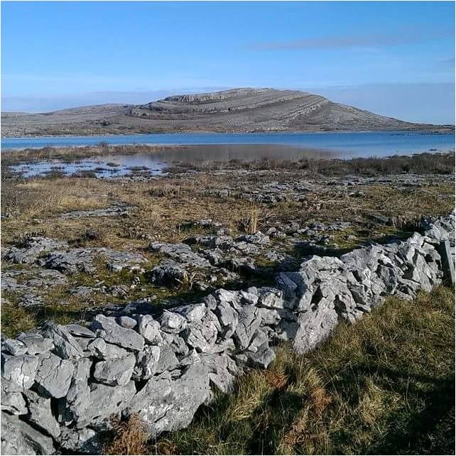 Doolin2Aran's tweet photo. @wildatlanticway A different style to our stone walls here in the Burren!
@visitBurren https://t.co/LnyNSFL1J8