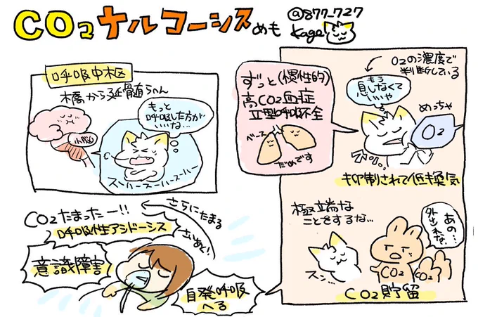 【CO2ナルコーシスめも】
 呼吸の自動調整能が破綻して換気が不十分となりCO2が体内に蓄積され意識障害などの中枢神経症状が現れる病態。 COPDなどの疾患の患者さんに高濃度酸素を投与することで起こる
・CO2ナルコーシスを恐れるあまり低酸素を蔑ろにしないよう注意⚠️
#かげ看 